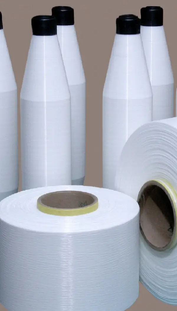 Polyester and Nylon Mother Yarn